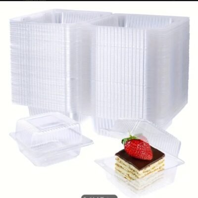 Disposable transparent hinged Tupperware 5.3" x 4.7" x 2.8"