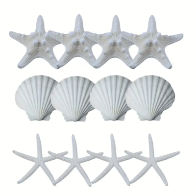 Marine: starfish natural x 12 u. No edible deco.