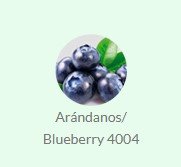 Essence 1 oz Blueberry Fratello